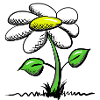 Gaensebluemchen Geschenk