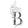 Letter B