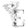 Letter E