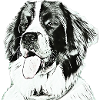 Landseer