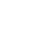 Detailer Car Detailing