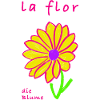 Die Blume auf Spanisch
