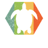 Turtle retro style