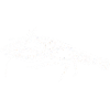 Edelkrebs_weiß