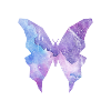 Galaxy Butterfly