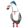Seagull sailor captain