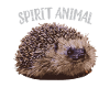 Animal esprit hérisson