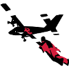 Wingsuit