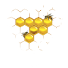 Bees and honeycomb
