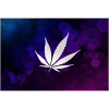 Weed