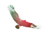 Magical Flying Eagle Trippy Silhouette