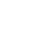 Mexican skull