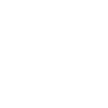 shotokan karate tiger design