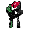Palestine fist flag