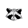 Raccoon | Animal | Rodent | rodent