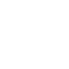 Spider - spider web