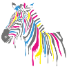 Zebra with paint