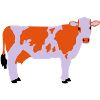 Cow 3
