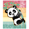 pandabär
