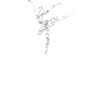 Ballerine danseuse