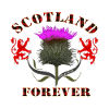 scotland forever thistle_red tartan