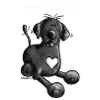Labbi Amour - Labrador Retriever - Chien