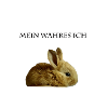 My true I rabbit