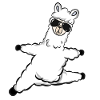 Alpaca sunglasses animal
