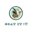 goat it - goat
