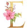 Letter E