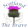 scotland the brave wild thistle
