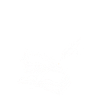 Abibliophobia