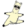 Spagat alpaca sunglasses