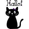 KATZE - KATZE - KATZE - KATZE