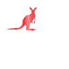 Autriche Kangourou