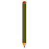 crayon