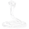 Serpent Cobra poison jungle