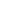 Fengshui bonsai