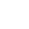 computer scientist