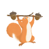 Eichhörnchen-Power Krafttraining