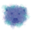 Aquarelle ours polaire