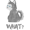 Husky - What?