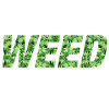WEED