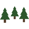 fir trees