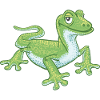 gecko vert