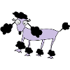 poodle