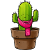Cactus in pot with scarf