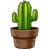 Cactus in the pot