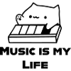 BongoCat Loves Music