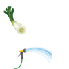 Lauch mit Schlauch, Geschenkidee